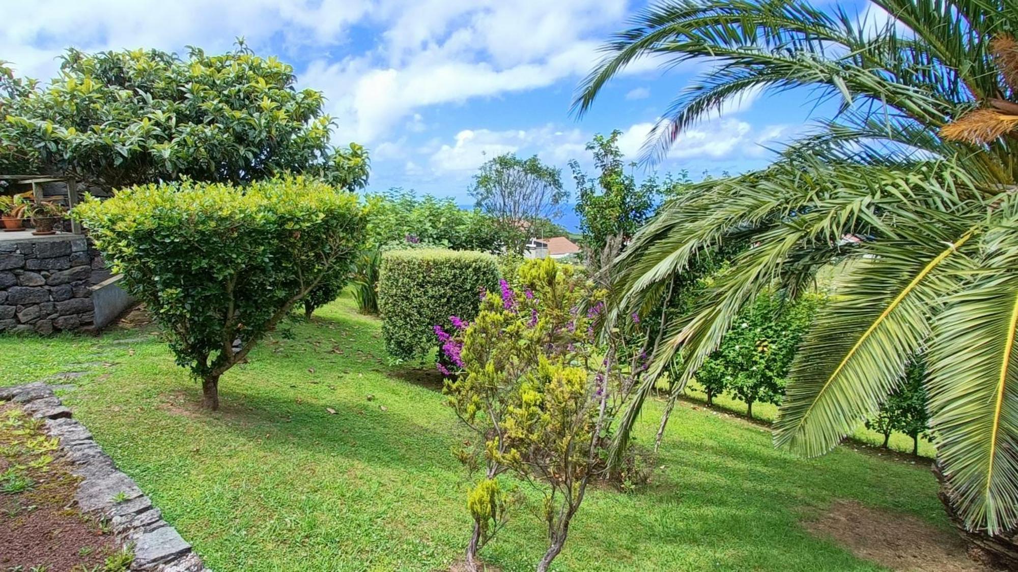 Tradicampo Eco Country Houses Nordeste  Zewnętrze zdjęcie