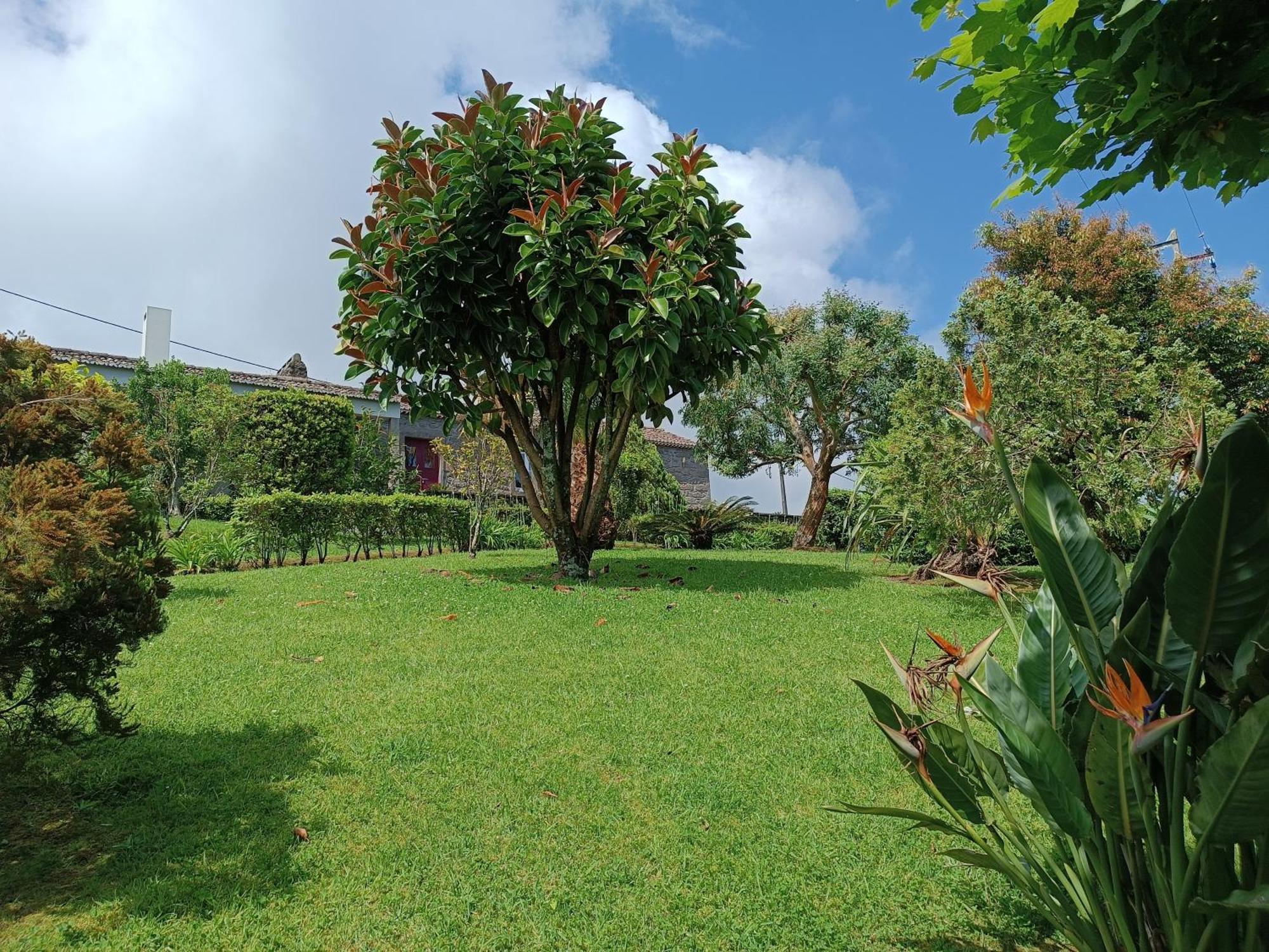 Tradicampo Eco Country Houses Nordeste  Zewnętrze zdjęcie