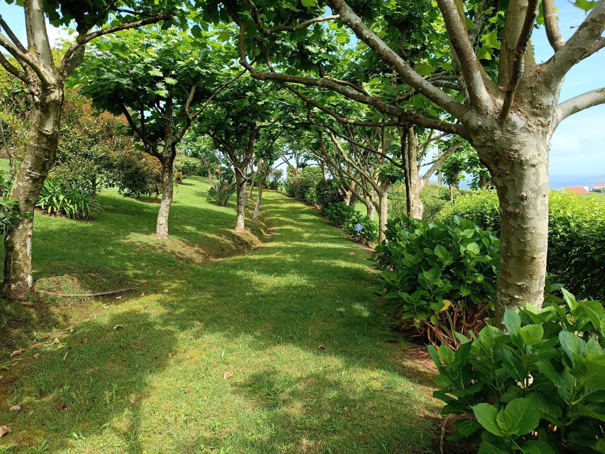 Tradicampo Eco Country Houses Nordeste  Zewnętrze zdjęcie