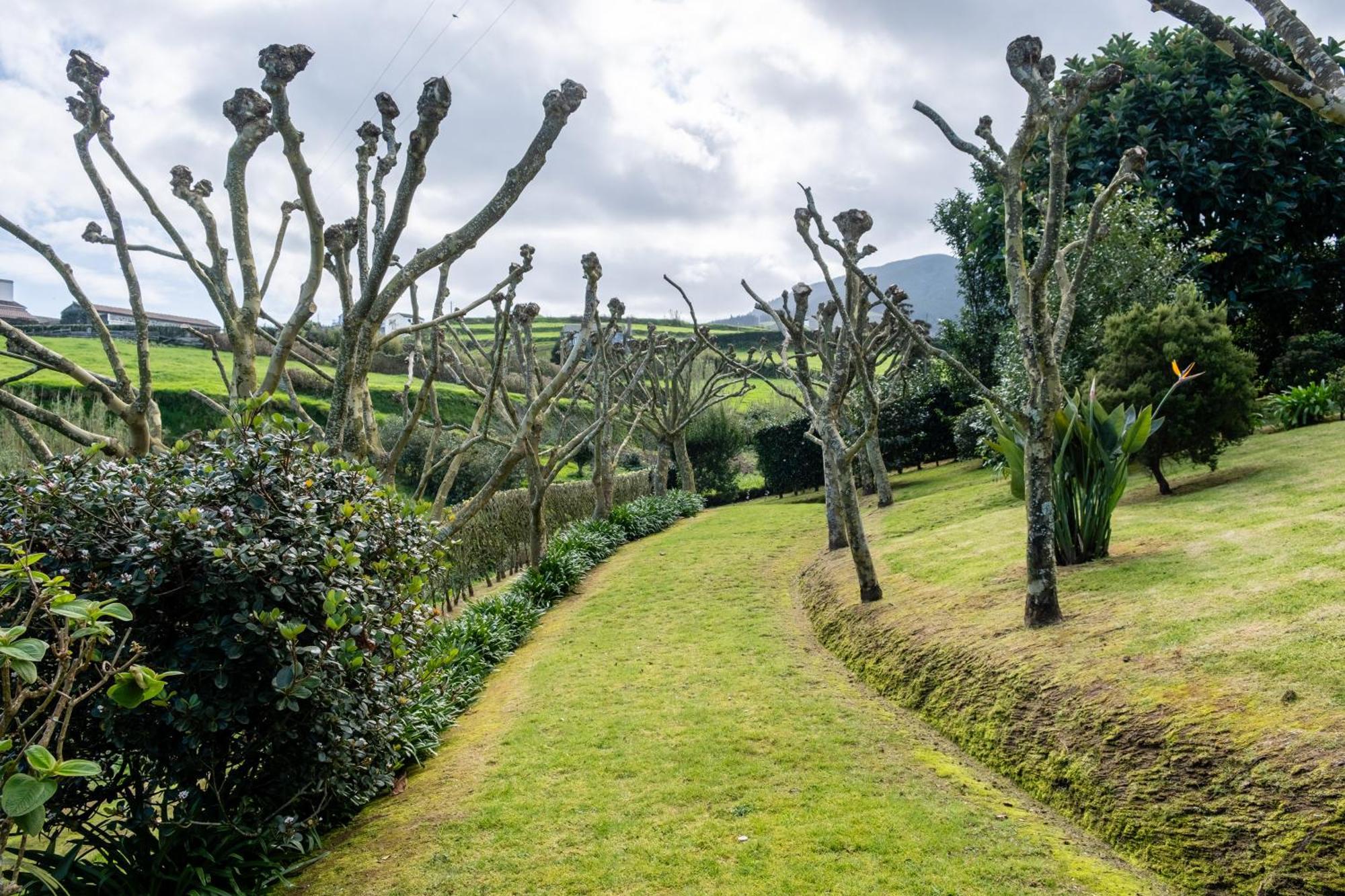 Tradicampo Eco Country Houses Nordeste  Zewnętrze zdjęcie